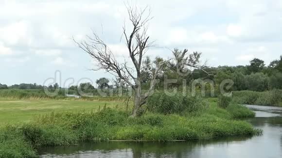 夏时德国勃兰登堡的哈维尔河景观柳树长河视频的预览图