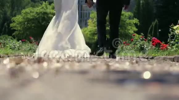 一对漂亮的已婚夫妇走在公园里牵着他们的手金光闪闪的五彩纸屑正在旋转视频的预览图