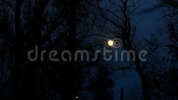 月亮之夜视频的预览图