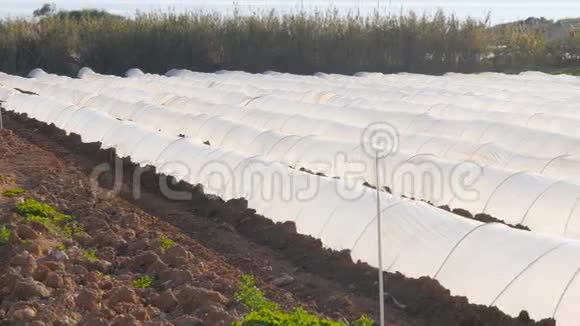 聚乙烯隧道作为一个塑料温室在分配与种植蔬菜在日落视频的预览图