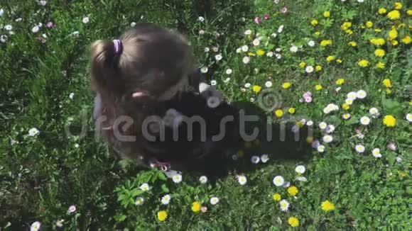 小女孩在花旁的草地上视频的预览图
