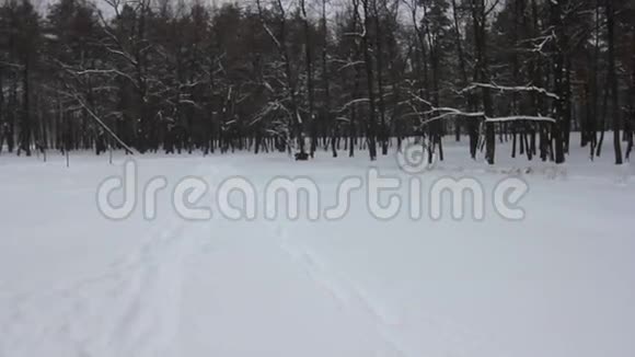 白雪覆盖了冬天森林中的树木和道路视频的预览图