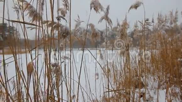 风景渔民冬天在冰上捕鱼视频的预览图