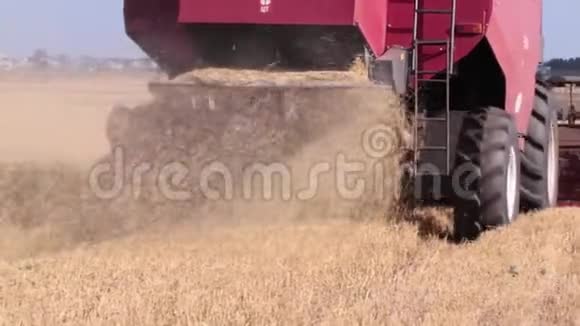 割下来的稻草从联合收割机下面飞出收割粮食的开始新的视频新闻来自田野视频的预览图
