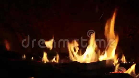 篝火与木头燃烧视频的预览图
