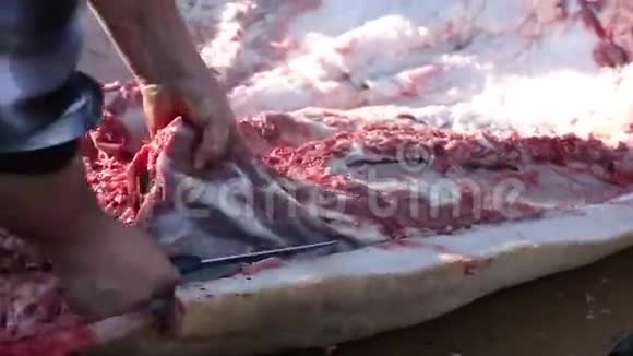 切割大的生肉视频的预览图