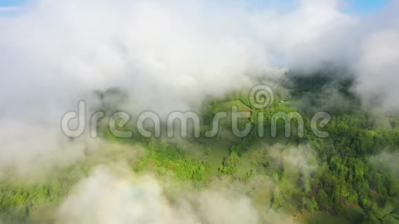 飞越一片令人惊叹的雨林日出时带雾在雨林上空鸟瞰4K空中录像视频的预览图