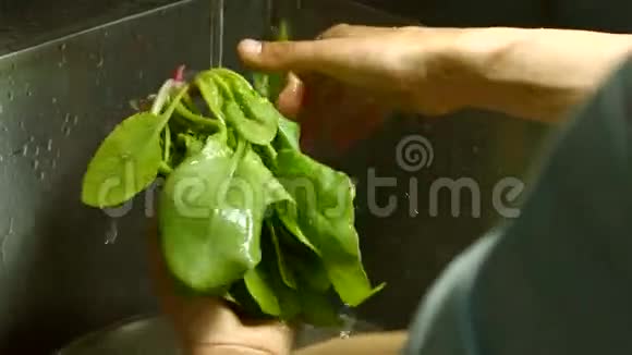男性洗手菠菜视频的预览图