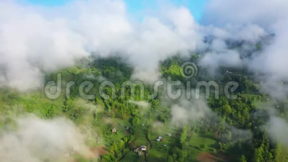 飞越一片令人惊叹的雨林日出时带雾在雨林上空鸟瞰4K空中录像视频的预览图