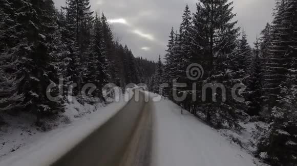 在雪林中驾驶冬季乡村道路的汽车从无人驾驶飞机上俯瞰空中景色视频的预览图