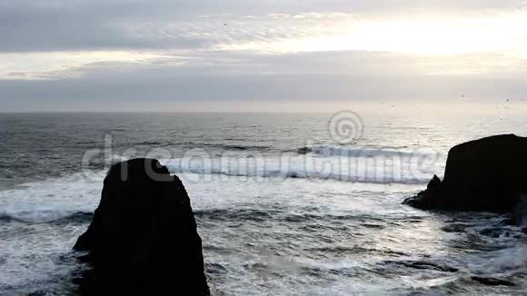 海鸥飞过悬崖海岸和海浪视频的预览图