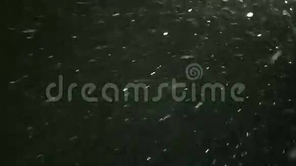 冬季降雪的夜景视频的预览图