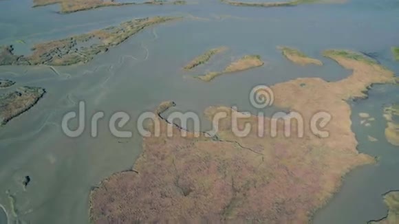 低空飞越沼泽海岸视频的预览图