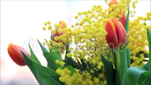 郁金香花束与黄色含羞草旋转视频的预览图