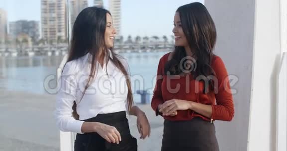 两个女人在海滨长廊上聊天视频的预览图