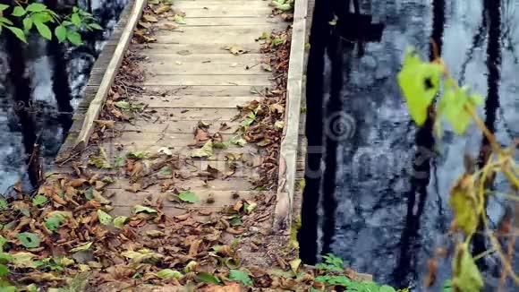 秋天的树叶和河流的乡村木桥视频的预览图
