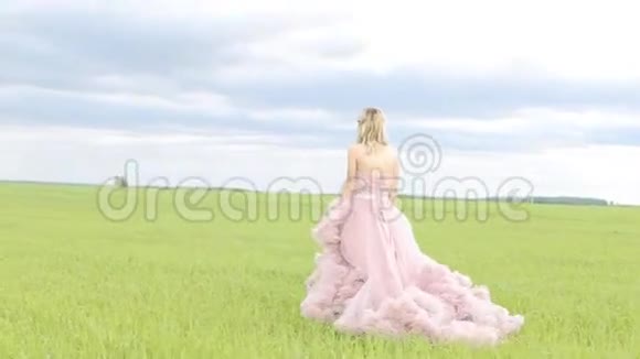 穿裙子的漂亮女孩在田野里散步视频的预览图