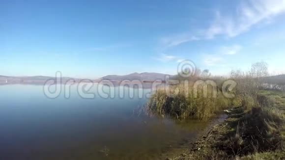 湖畔的秋景阳光和碧水视频的预览图