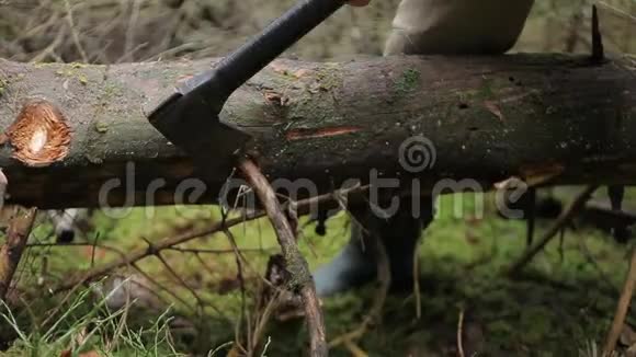 伐木工人正在砍倒枯树视频的预览图