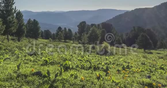 山地草甸时间推移野的自然和田园云树绿草和太阳光的运动相机动作视频的预览图