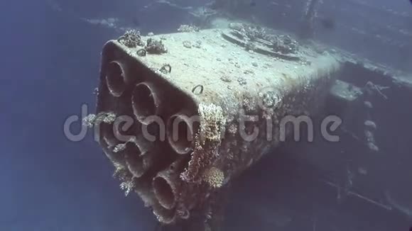 部分沉船珊瑚塞勒姆快车关闭水下在红海视频的预览图