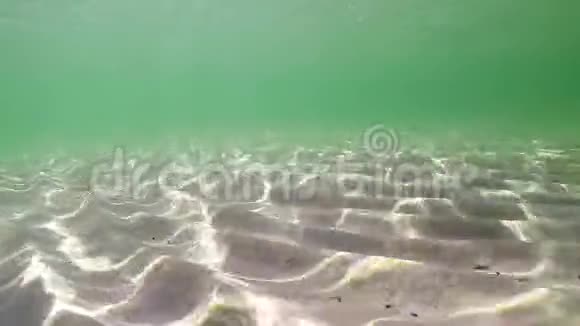 浅水中的水下反射视频的预览图