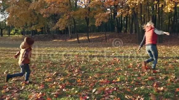 慢动作快乐的母子用黄叶在秋天公园玩耍视频的预览图
