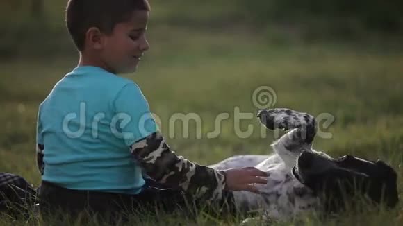 草地上的男孩抱着狗唱摇篮曲视频的预览图