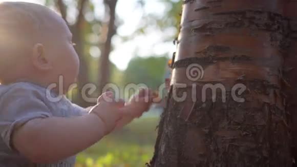 幼儿摸树特写镜头眼泪汪汪地叫想吃它视频的预览图