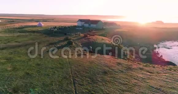 4K无人驾驶飞机在冰岛东北部日落时分飞越绵羊农场视频的预览图