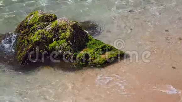 海岸岩石的特写慢动作视频的预览图