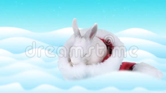 穿着圣诞老人帽子洗衣服的小白兔视频的预览图