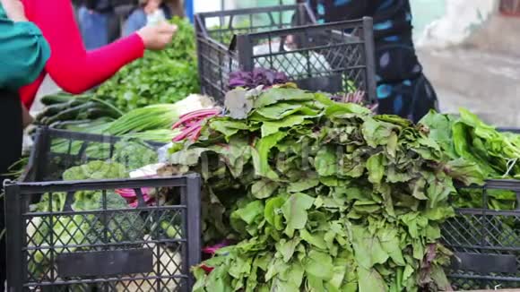 市场上的卖主把蔬菜卖给买主一个女人在市场上买新鲜蔬菜视频的预览图