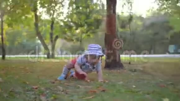 巴拿马的婴儿在公园的草地上爬行镜头飞来飞去斯坦迪卡姆视频的预览图