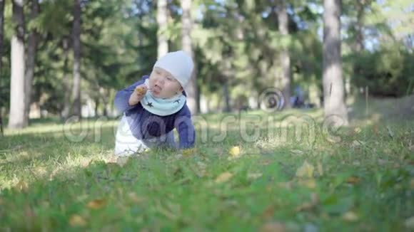 宝宝在公园的草地上爬行吃树叶视频的预览图