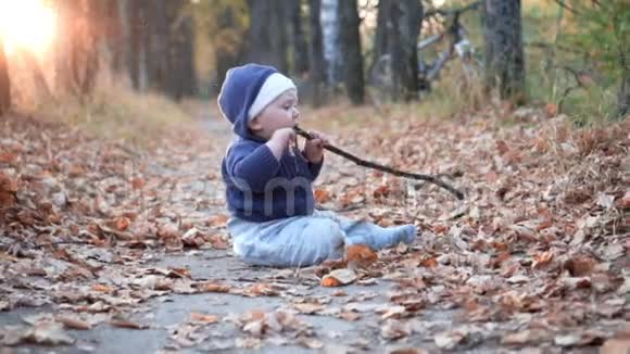 宝贝在森林里玩棍子秋天的落叶视频的预览图