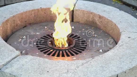 以永恒火焰的形式出现的纪念碑视频的预览图
