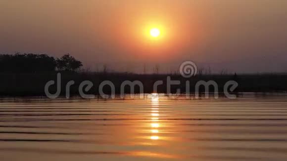 湖中金色的夕阳视频的预览图