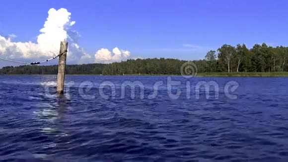 深蓝色波罗的海的木柱背景是绿林蓝白的天空视频的预览图