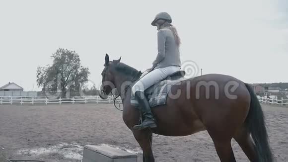 这位女骑师在阴天骑着马在田野里视频的预览图
