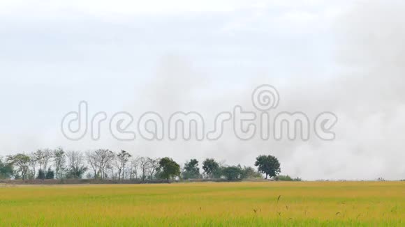 农田受到野火的影响视频的预览图