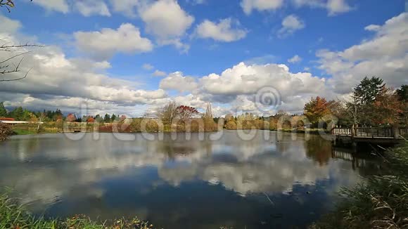 英联邦湖泊公园水反射白云和蓝天在波特兰或视频的预览图