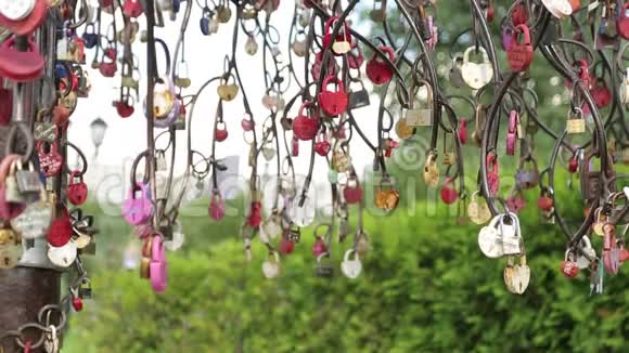 带锁的树结婚传统视频的预览图