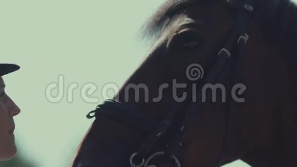 一个女人和一匹马一匹马的轮廓骑马视频的预览图