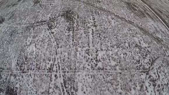 飞越广阔的雪域俄罗斯视频的预览图