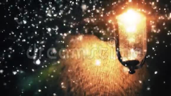 夜幕降临的冬日路灯视频的预览图