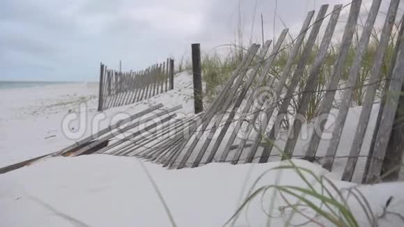 佛罗里达州彭萨科拉有绿叶和栅栏的海滩沙视频的预览图