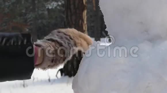 这个女孩冬天在树林里堆雪人把脸贴紧视频的预览图