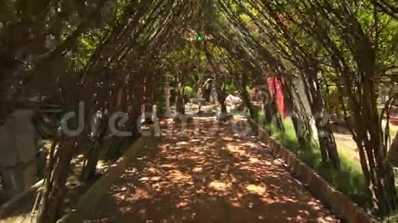 相机移动通过装饰树隧道特制视频的预览图