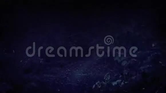 可怕的警察在夜间穿越森林视频的预览图